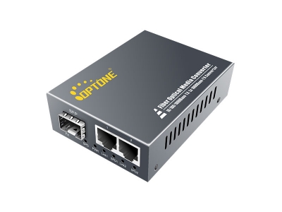 2*10/100/1000M TX and 1*1000M FX/SFP (OPT-2202 series)